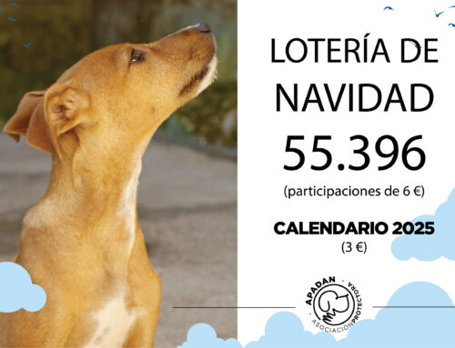 A LA VENTA LA LOTERÍA DE NAVIDAD Y CALENDARIOS 2025