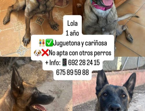 Lola
