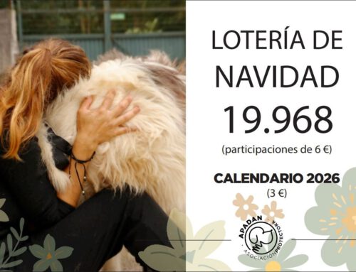 LOTERÍA DE NAVIDAD Y CALENDARIOS 2026 A LA VENTA