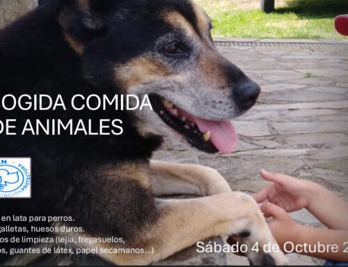 Campaña de recogida de alimentos y materiales a favor de APADAN en supermercados Eroski