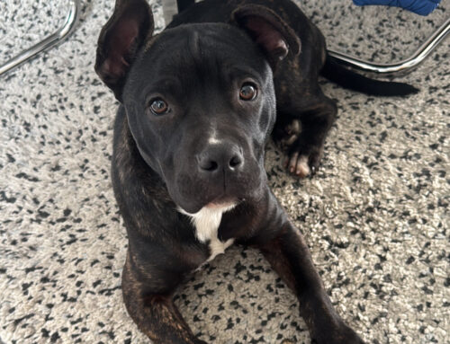 Max