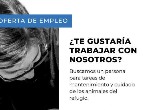 Oferta de empleo