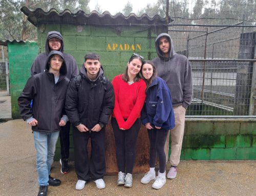 Compromiso joven frente al abandono animal: una experiencia con la Fundación INGADA