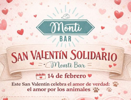 Celebra San Valentín con amor perruno y solidaridad en Monti Bar