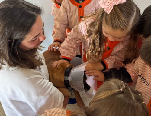 Charlas de sensibilización en el Colegio Franciscanas de A Coruña