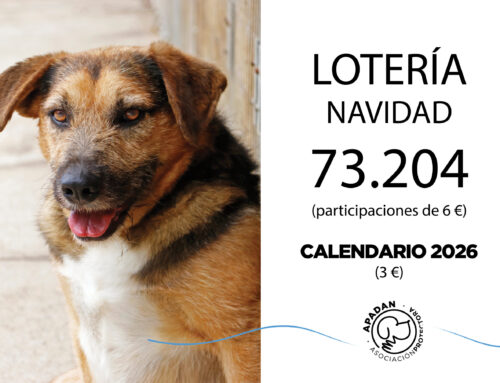 Lotería de Navidad y calendario solidario a la venta